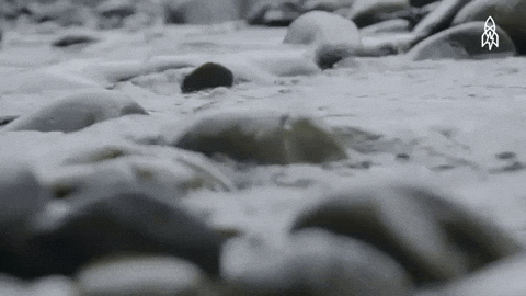 Stream 3