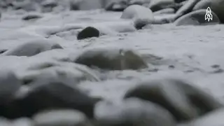 Stream 3